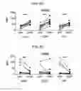 Fig. 27 - Method for diagnosing fibromyalgia syndrome, and kit therefor
