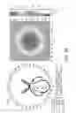 Fig. 12 - Light control films and lighting devices including same
