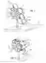 Fig. 02 - LOW INTERFERENCE OPTICAL MOUNT