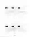 Fig. 04 - LIQUID CRYSTAL DISPLAY PANEL AND LIQUID CRYSTAL DISPLAY