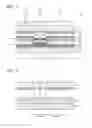 Fig. 03 - Display device and method of manufacturing the same