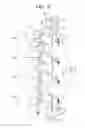 Fig. 03 - Member for electrophotography, developing apparatus, and electrophotographic apparatus