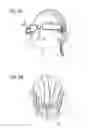 Fig. 03 - Imaging display apparatus and method