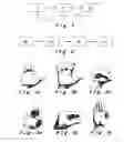 Fig. 02 - Method and system for human-to-computer gesture based simultaneous interactions using singular points of interest on a hand