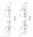 Fig. 04 - Devices and methods for automatic adjustment of display elements
