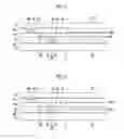 Fig. 06 - Head mounted display device and fabricating method thereof