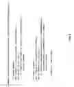 Fig. 05 - Interface method resolution in object oriented programming models