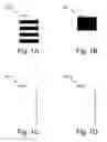 Fig. 02 - Filter and sort by format