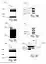 Fig. 10 - Filter and sort by format