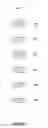 Fig. 10 - Data Analysis
