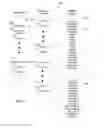 Fig. 03 - System, method and apparatus for locating and merging documents