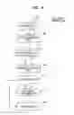 Fig. 07 - Detection method and information processing device