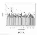 Fig. 04 - Visualization, sharing and analysis of large data sets
