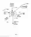 Fig. 03 - Method and system for managing the use of dietary supplements and drugs through mobile devices