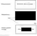 Fig. 01 - INTEGRATED MESSAGE VEILING SYSTEM