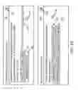 Fig. 30 - Method and system for augmenting real-fix tips with additional content