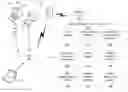 Fig. 01 - Virtual payment processing system