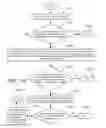 Fig. 29 - SYSTEM AND METHOD FOR CONVEYING ENTERTAINMENT OR SOCIAL EVENTS