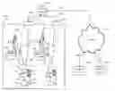 Fig. 01 - Systems and Methods for Remote Robotic Apparel Fitting and Shopping