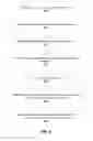Fig. 09 - USING DUAL CUSTOMER IDENTITIES FOR AIRLINES