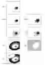 Fig. 01 - Image processing apparatus