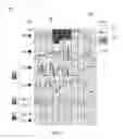 Fig. 09 - VIBROTACTILE CONTROL SOFTWARE SYSTEMS AND METHODS