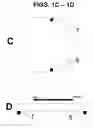 Fig. 03 - System and Method for Handwriting Instruction and Remediation