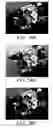 Fig. 15 - Method for producing a color image and imaging device employing same