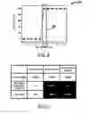 Fig. 07 - METHOD AND APPARATUS FOR IMPROVING YIELD FOR NON-VOLATILE MEMORY