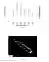 Fig. 18 - ARTICLE AND PROCESS FOR SELECTIVE ETCHING