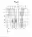 Fig. 13 - Semiconductor device having jumper pattern