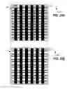 Fig. 43 - Vertical bit line non-volatile memory systems and methods of fabrication