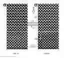 Fig. 20 - Engineered ferroelectric gate devices