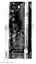 Fig. 23 - Engineered ferroelectric gate devices