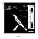 Fig. 25 - Engineered ferroelectric gate devices