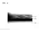 Fig. 05 - Display apparatus and method of manufacturing the same