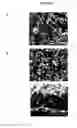 Fig. 03 - SOLVENT-FREE DRY POWDER-COATING METHOD FOR ELECTRODE FABRICATION