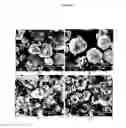 Fig. 08 - SOLVENT-FREE DRY POWDER-COATING METHOD FOR ELECTRODE FABRICATION