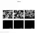 Fig. 09 - SOLVENT-FREE DRY POWDER-COATING METHOD FOR ELECTRODE FABRICATION