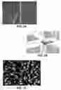Fig. 03 - TEMPLATE ELECTRODE STRUCTURES WITH ENHANCED ADHESION CHARACTERISTICS