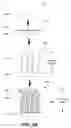 Fig. 08 - TEMPLATE ELECTRODE STRUCTURES WITH ENHANCED ADHESION CHARACTERISTICS