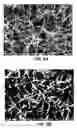 Fig. 09 - TEMPLATE ELECTRODE STRUCTURES WITH ENHANCED ADHESION CHARACTERISTICS