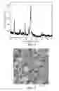 Fig. 02 - Anode compositions for rechargeable batteries and methods of making same