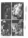 Fig. 28 - Dry-particle based adhesive and dry film and methods of making same
