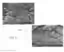 Fig. 29 - Dry-particle based adhesive and dry film and methods of making same