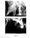 Fig. 06 - Method of preparing minute carbonized cellulose and method of preparing catalyst support using the same