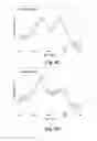Fig. 14 - NON-PRECIOUS FUEL CELL CATALYSTS COMPRISING POLYANILINE