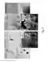 Fig. 15 - NON-PRECIOUS FUEL CELL CATALYSTS COMPRISING POLYANILINE