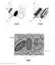 Fig. 07 - Determination of a spatial distribution of an electrical production parameter of an electrochemical cell