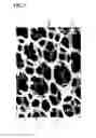 Fig. 03 - Porous current collector and fuel cell